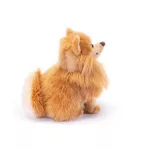 Trudi Pomerániai törpespicc, Biscuit - 23cm